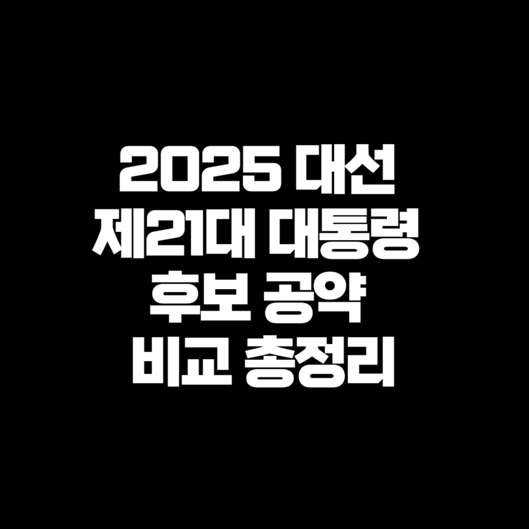 2025 대선 제21대 대통령 후보 공약 비교 총정리