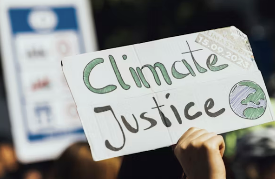 기후동행카드 효과 및 경제적 혜택 분석