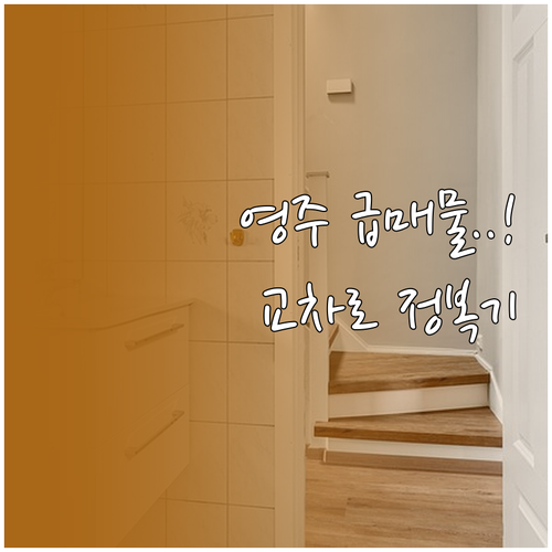 영주시 아파트 상가 토지 매물 정보와..