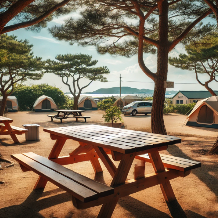 송도국제캠핑장 예약 신청 방법