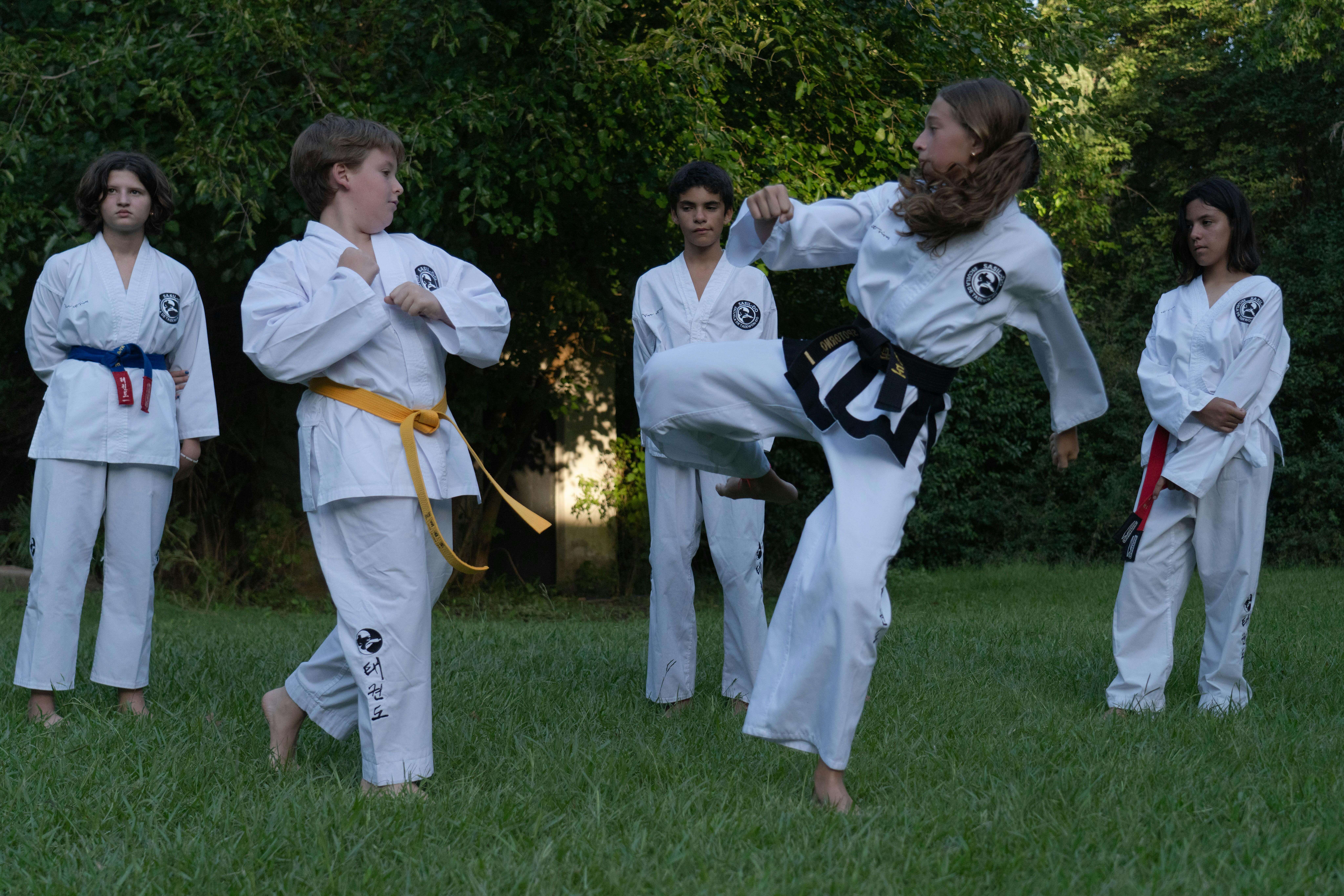 태권도 단증 확인 방법 완벽 정리 단수 조회부터 재발급까지