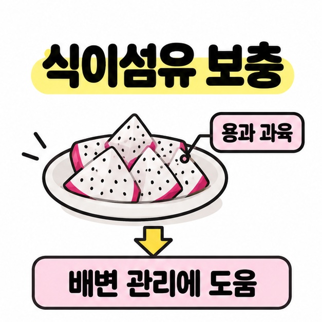 접시에 담긴 용과 조각을 배변 관리에 도움이라는 문구와 화살표로 연결해 식이섬유 보충을 설명한 그림