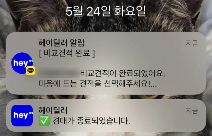 내차팔기, 중고차팔기