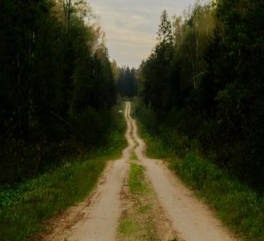 포스텔러 만세력 보는법, 해석 방법, 풀이 가이드