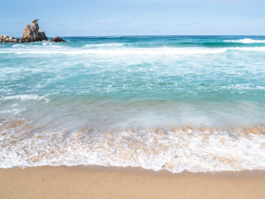 강원도 오토캠핑장