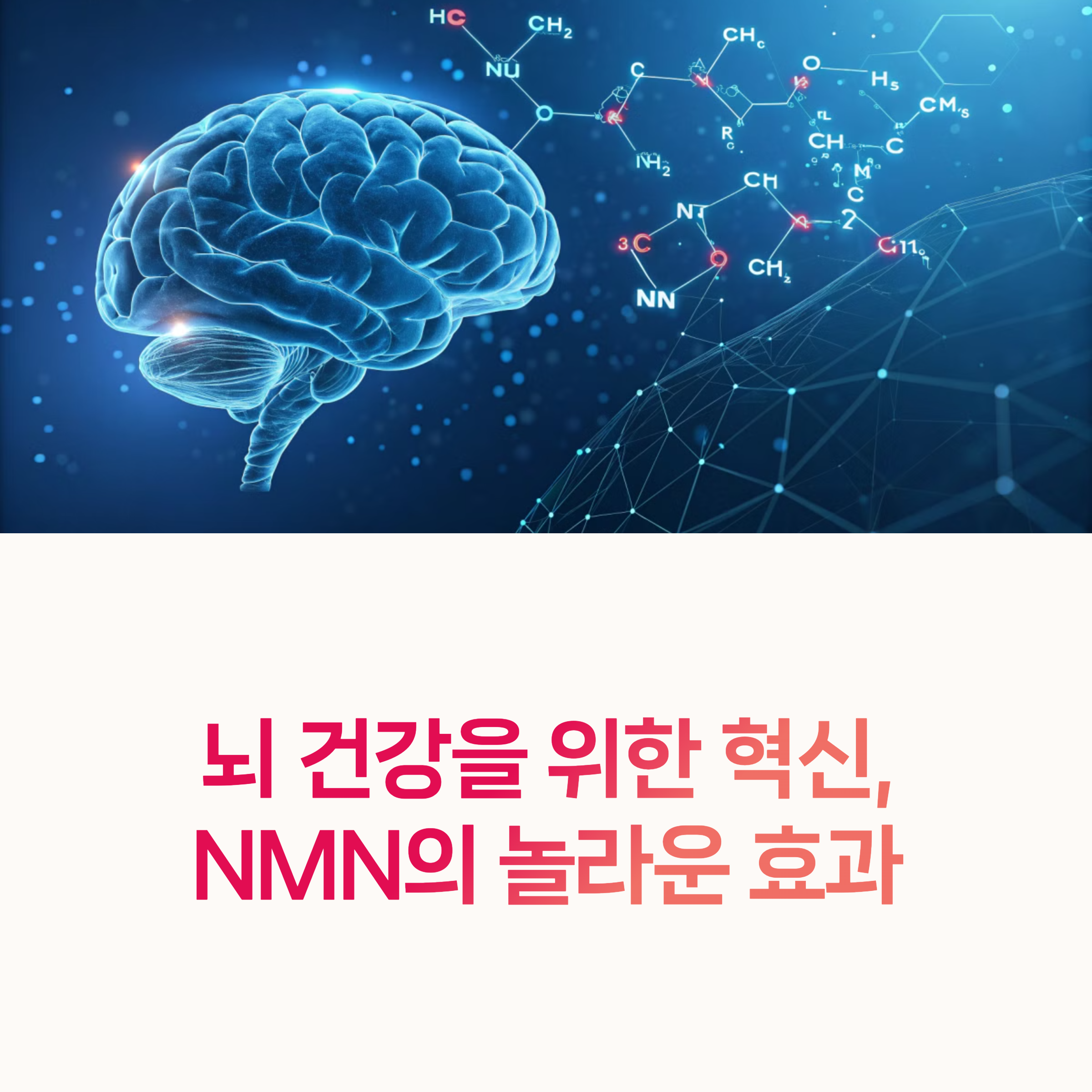 NMN, NAD+, 뇌건강,