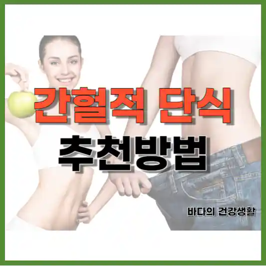 간헐적단식방법