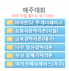 마라톤 온라인 대회일정