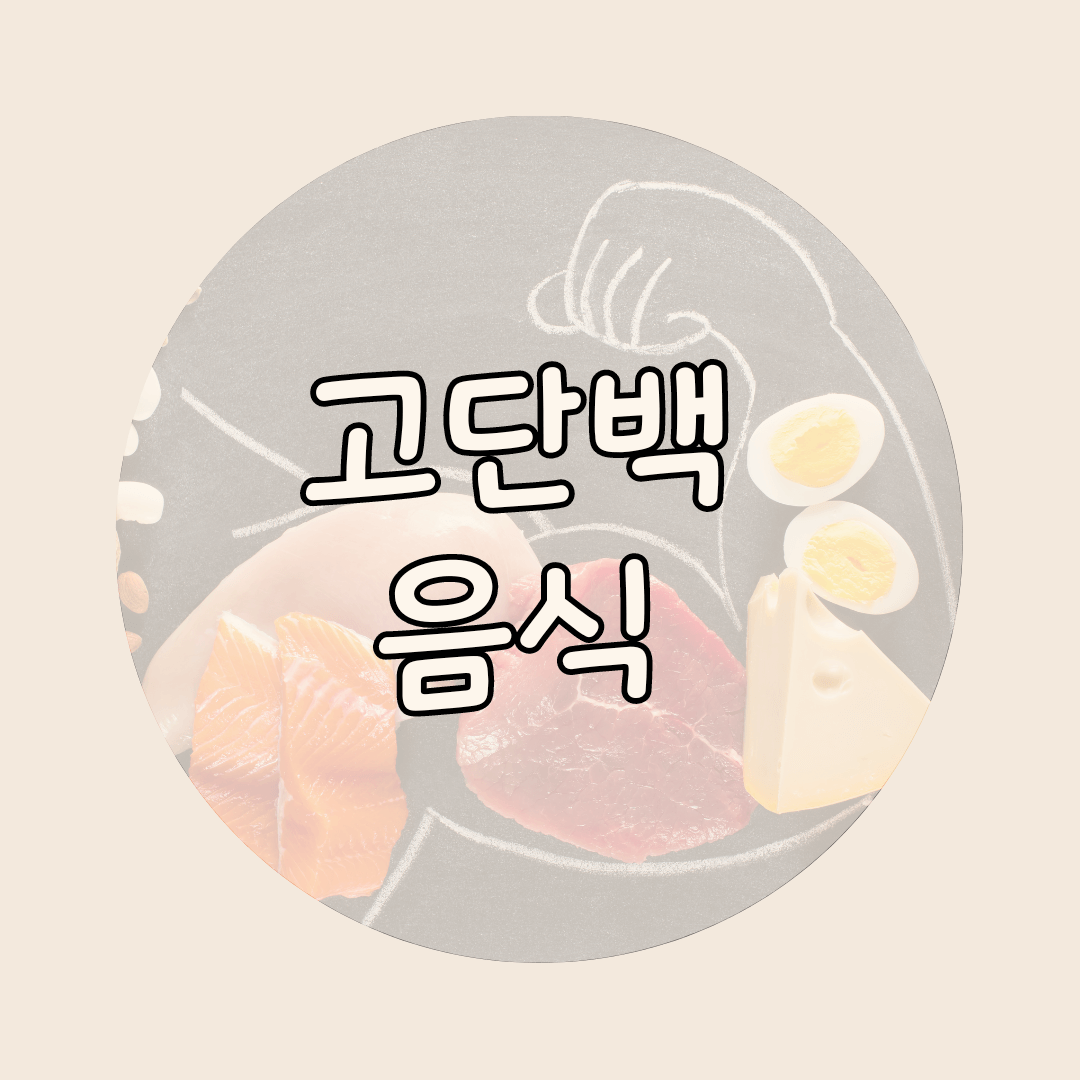 고단백 음식
