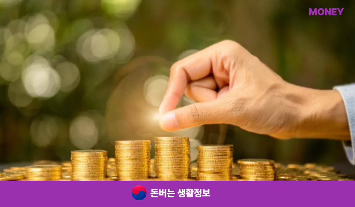 k패스 카드 추천