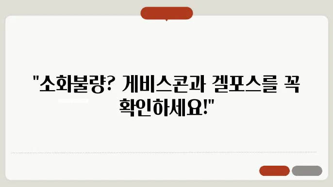 겔포스의 주요 특성 및 효능 정리