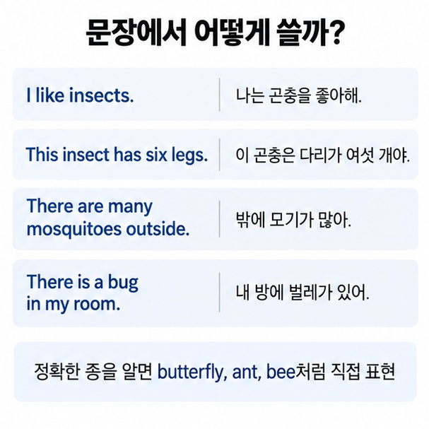 I like insects This insect has six legs There is a bug in my room 등 곤충 관련 영어 예문을 정리한 학습 인포그래픽