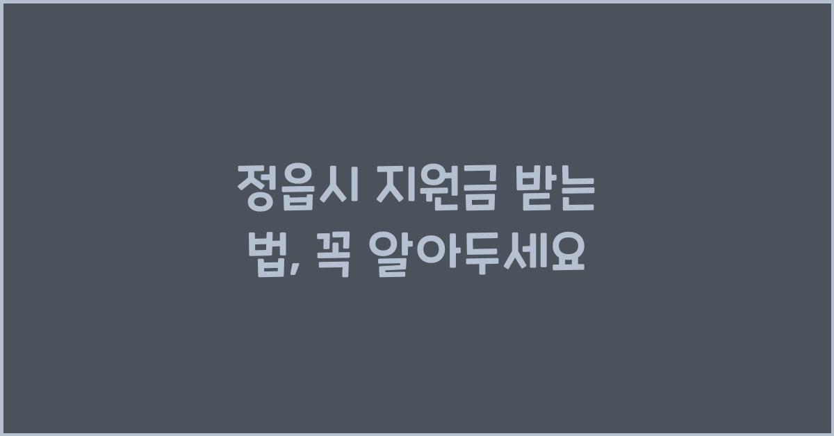 정읍시 지원금