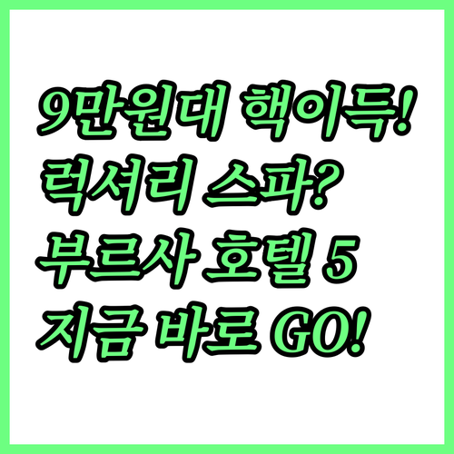 9만 원대 가성비부터 럭셔리 온천 스..
