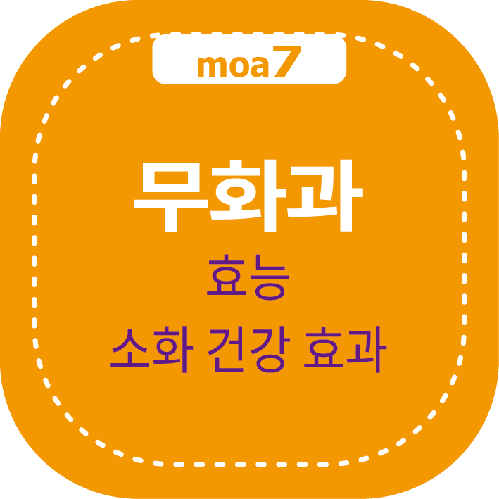 무화과 효능과 소화 건강 효과