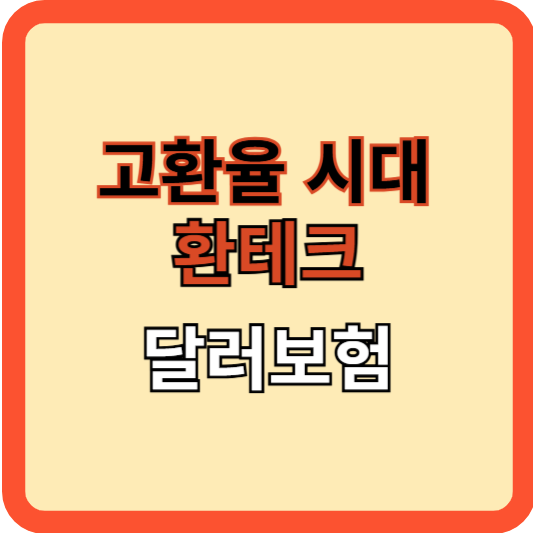 고환율 시대, 환테크 수단, 달러보험 실체