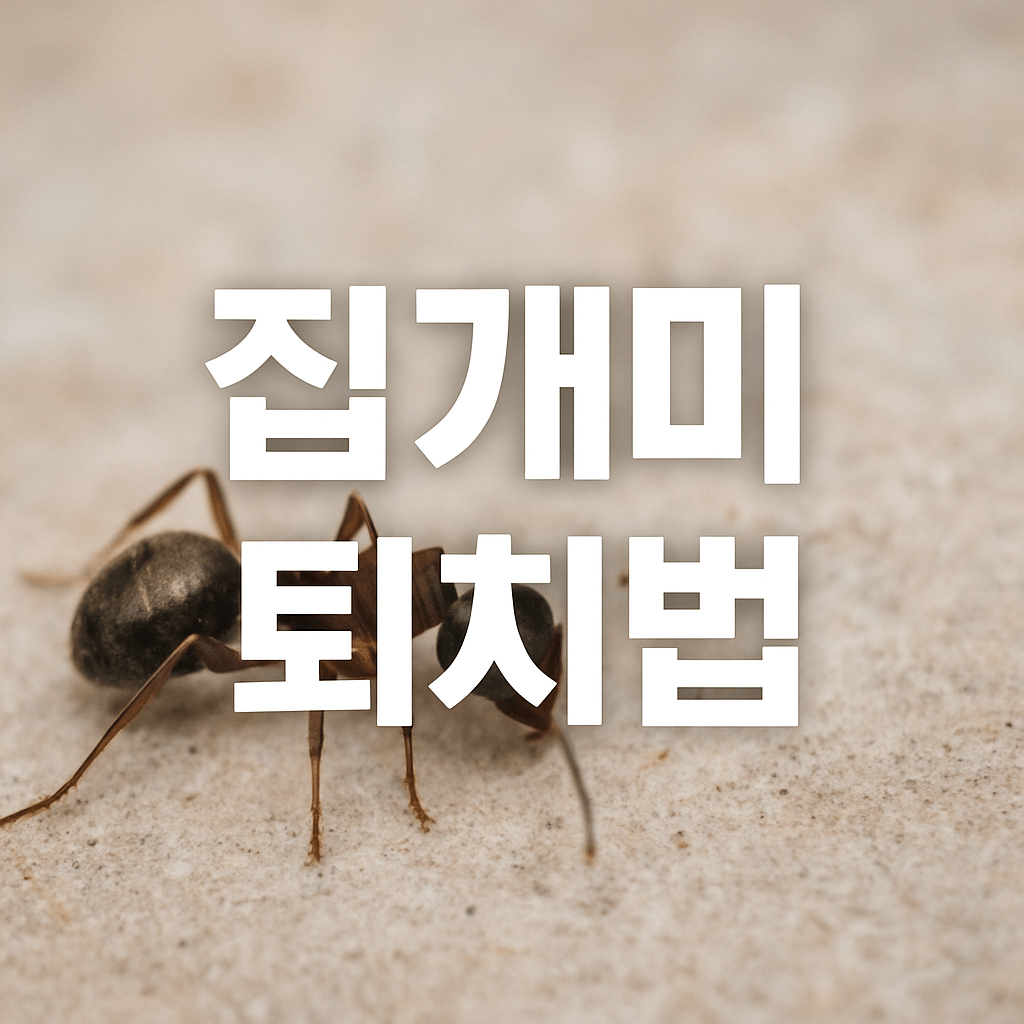 집개미 퇴치법
