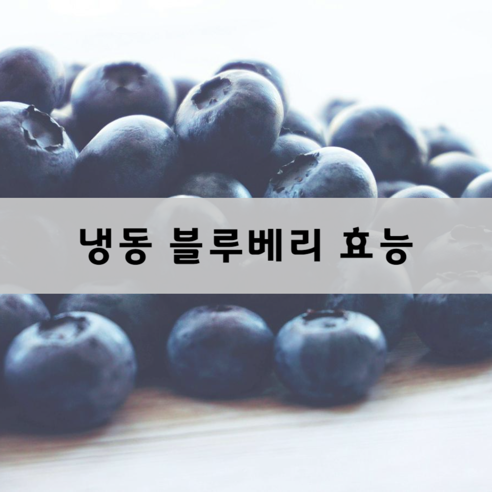 냉동-블루베리-효능