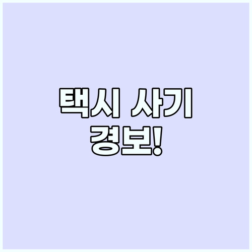 가짜 QR코드와 미터기 고장 해외 택..