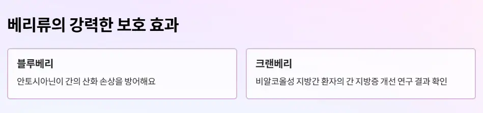 블루베리 효능