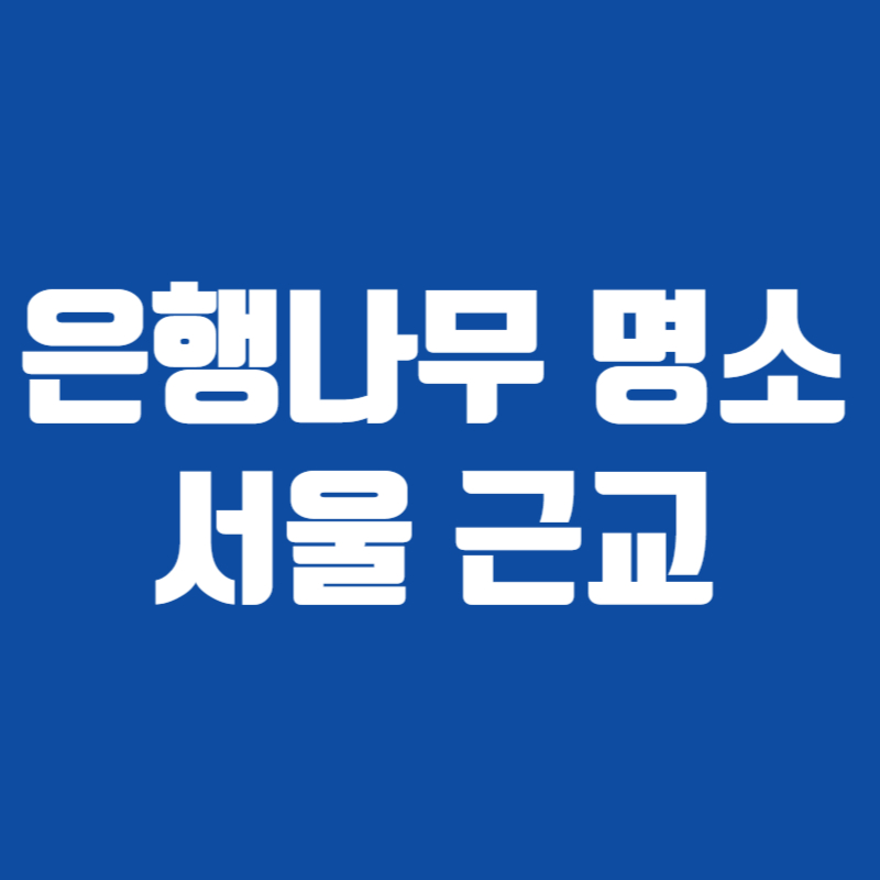 은행나무 명소 서울 근교