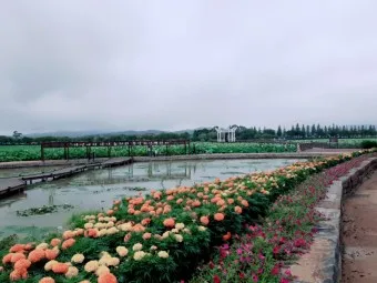 무안 가볼만한곳 베스트10 현지인 추천 필수코스_11