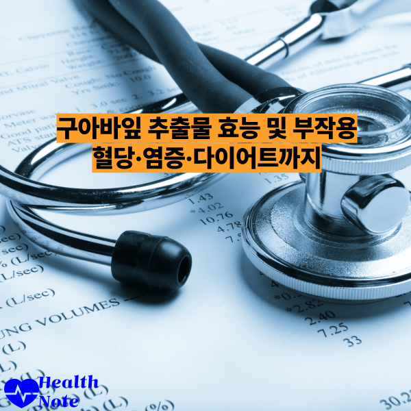 구아바잎 추출물 효능 및 부작용 혈당·염증·다이어트까지