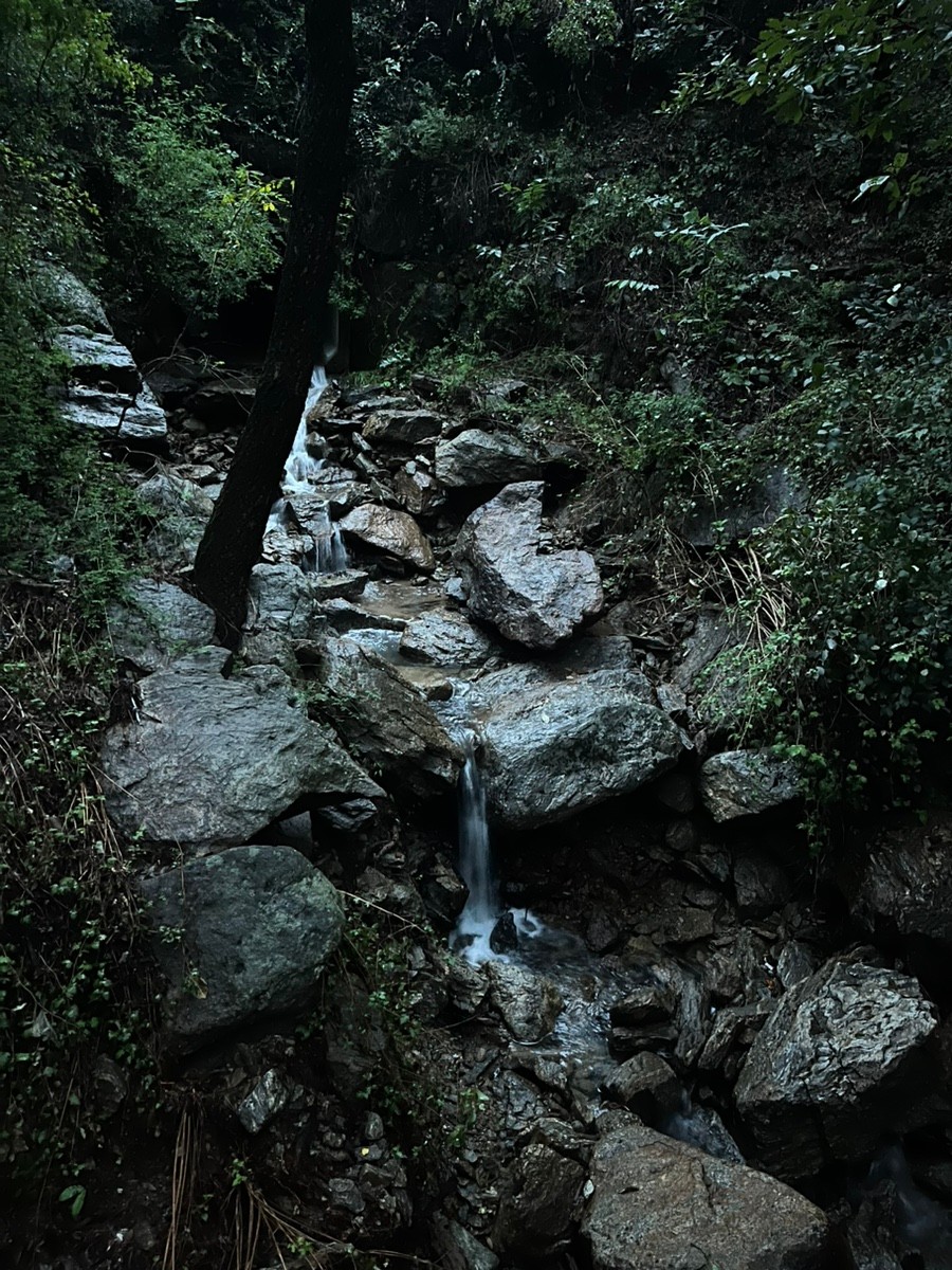 바라산 자연휴양림