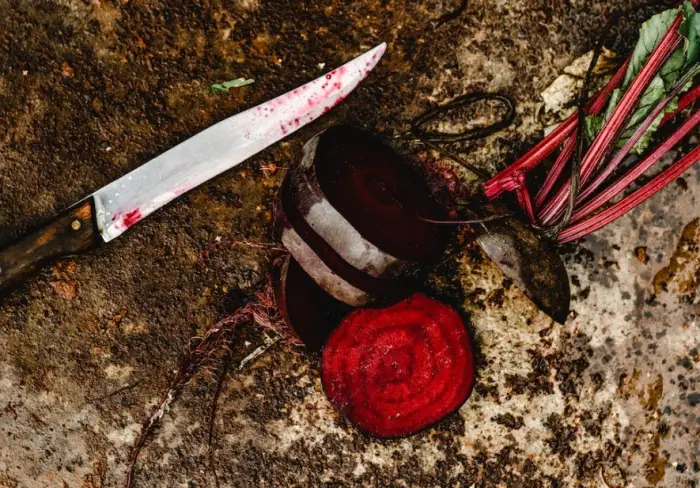 비트 하루 섭취량