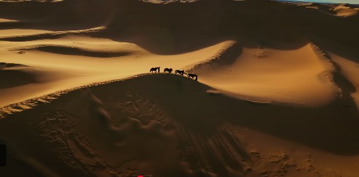 하얼빈: 안중근&amp;#44; 조국의 미래를 건 마지막 임무