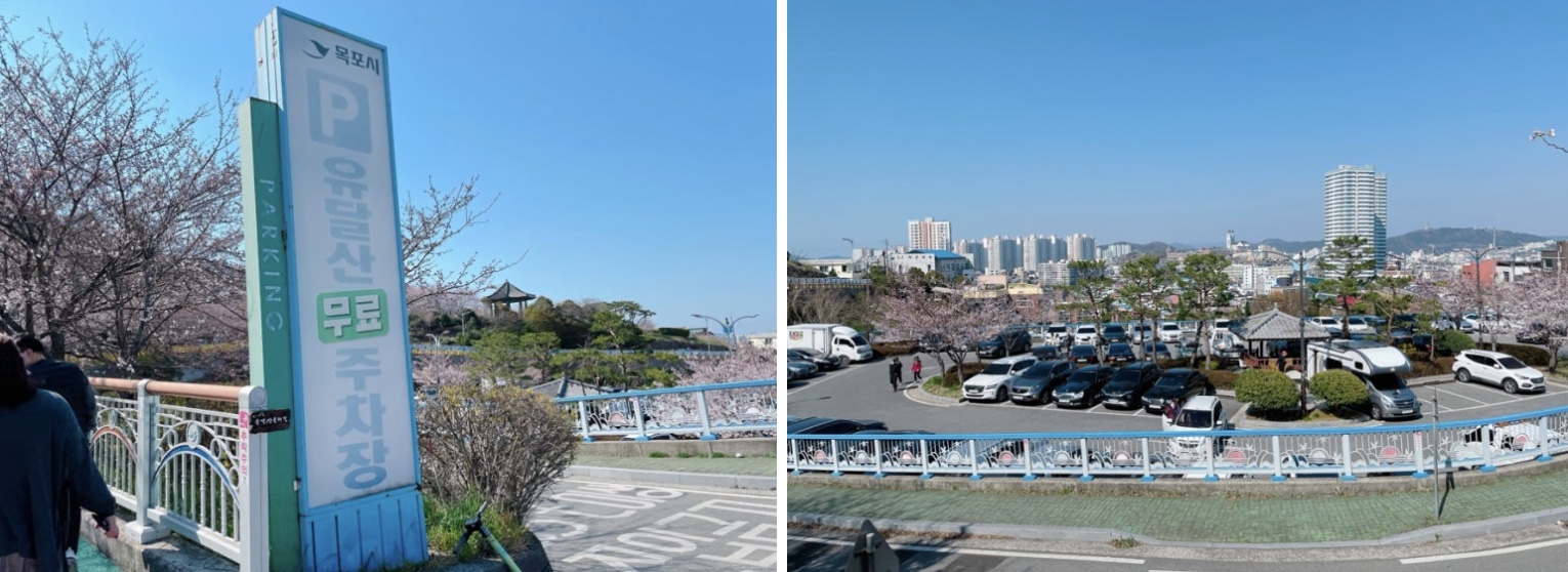 2025 목포 유달산 봄축제 필수 방문 꿀팁