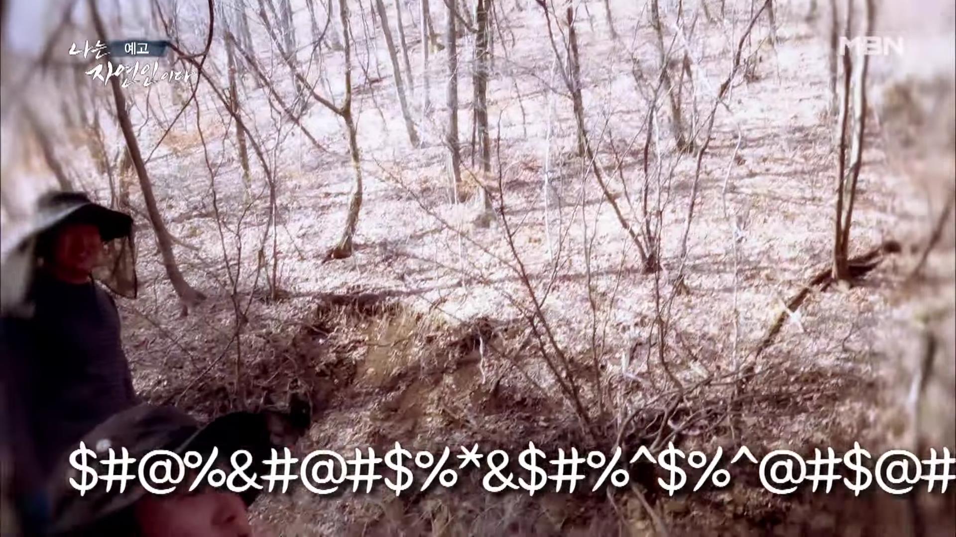 나는 자연인이다 100년 집 머위꽃 튀김 달래무침 개복숭아 고추장 황태 북어 구이 고립무원의 자유 자연인 서옥선 소개 및 윤택 출연 549회 다시보기