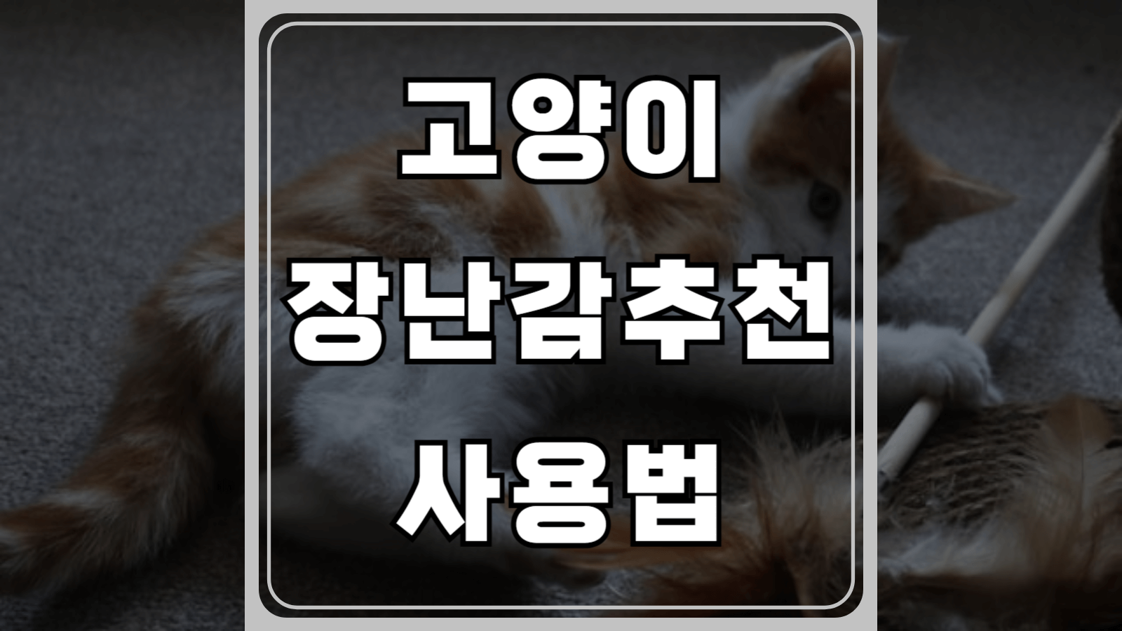 고양이 장난감 추천과 안전 사용법