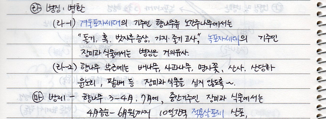 향나무녹병 병징.병환