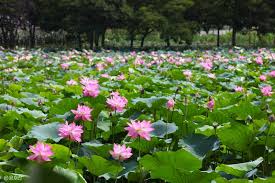 진주 가볼만한 곳 베스트 10