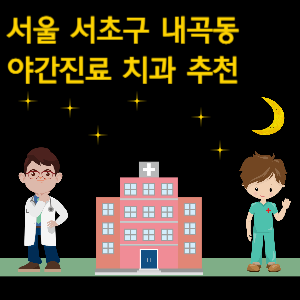 서초구 내곡동 치과 야간진료 병원 추천