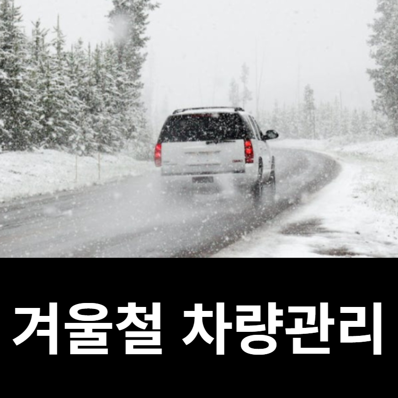 겨울철 차량관리