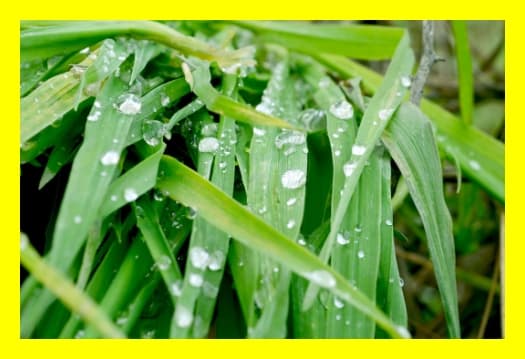 공급망 ESG 대응을 위한 협력사 교육 콘텐츠 구성법