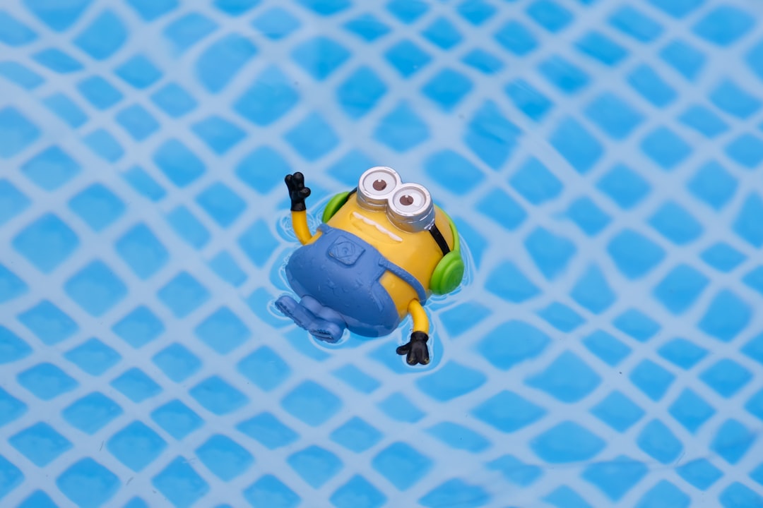 Toy