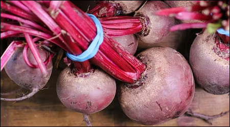 줄기가 붙어있는 비트