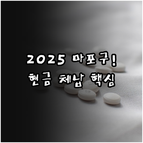 마포구 특별생계 보호 2025년 지원..