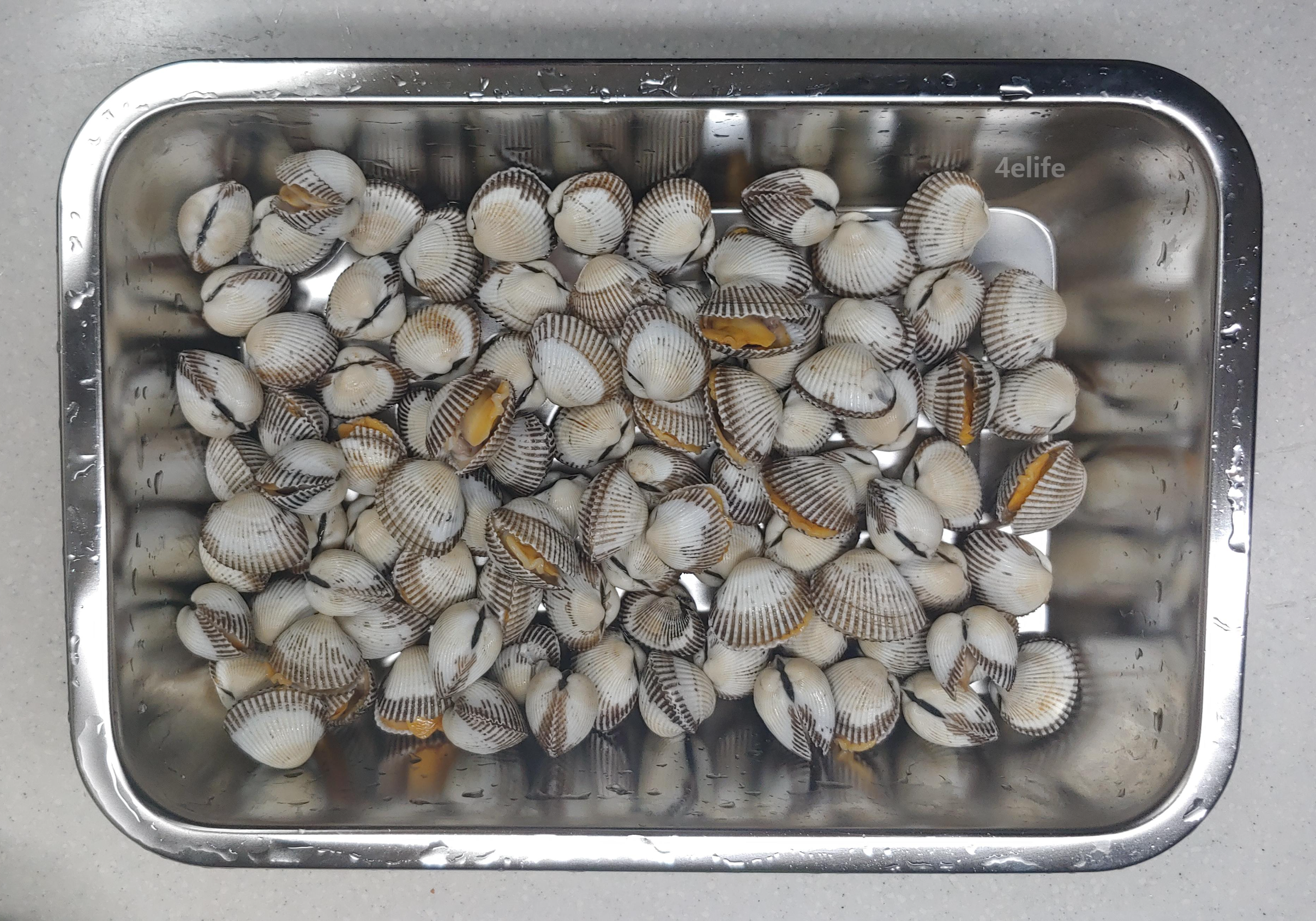 꼬막 세척