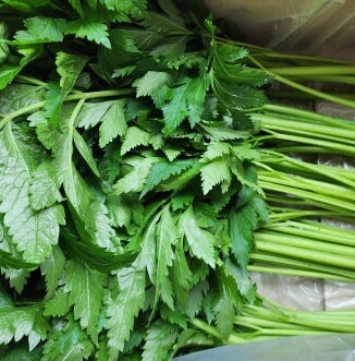 6시 내고향 강원도 인제 고랭지 ‘요세비농장’ 누리대 주문방법, 효능, 먹는방법