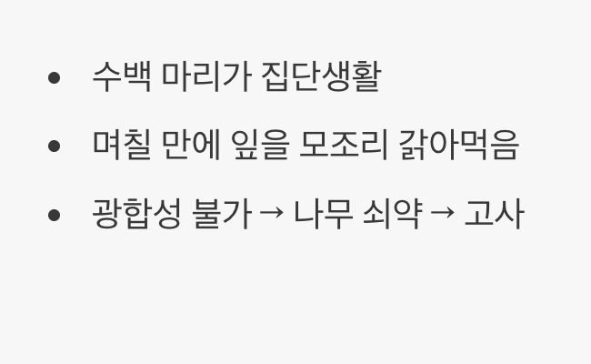 2. 한 마리가 아닌 ‘군단’입니다