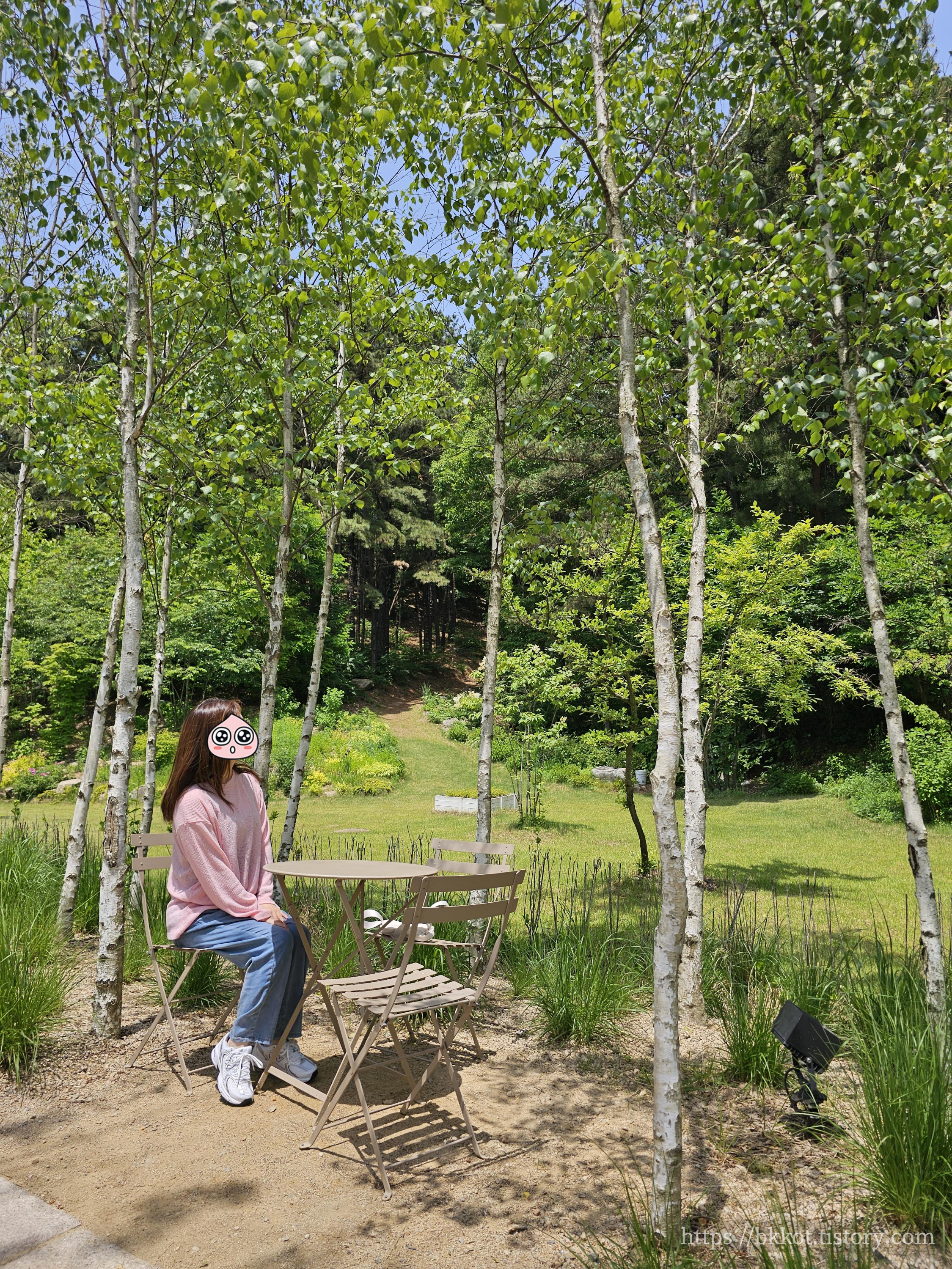 모아니 카페 사진