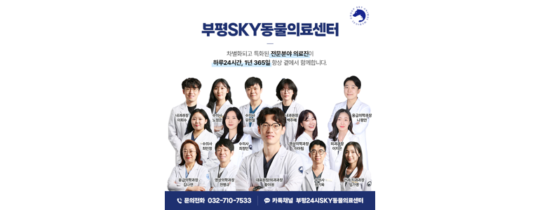 인천 부평구 동물병원