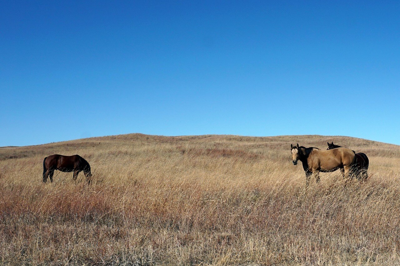 미국 서부 로드트립 코스 추천: 대자연과 도시를 잇는 완벽한 여정 관련사진