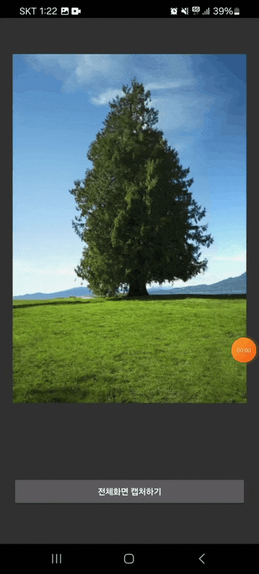 애니메이션 캡처 효과