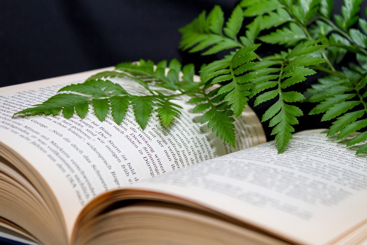 의사가 추천하는 건강 책을 설명하는 사진