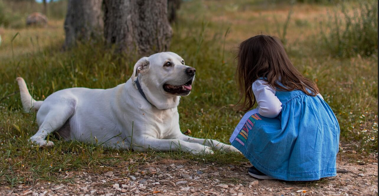 강아지와 아이가 교감을 나누는 모습